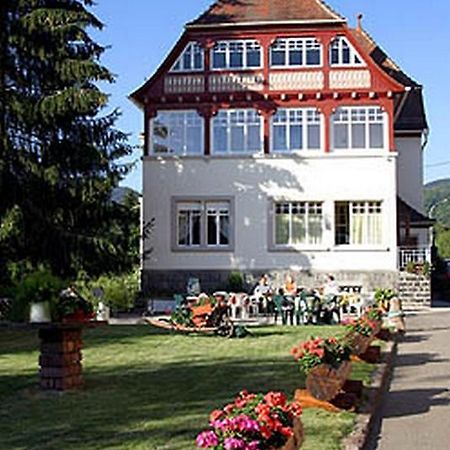 Villa Du Sendenbach Muhlbach-sur-Munster Exterior photo