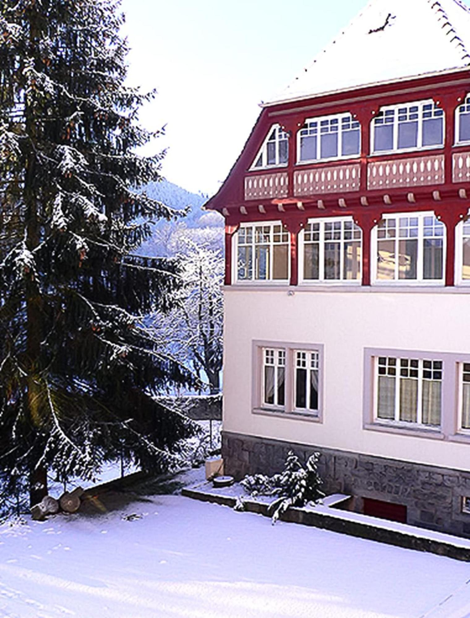 Villa Du Sendenbach Muhlbach-sur-Munster Exterior photo