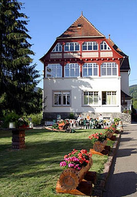 Villa Du Sendenbach Muhlbach-sur-Munster Exterior photo